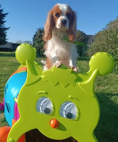 Contactez-nous pour réserver votre séjour